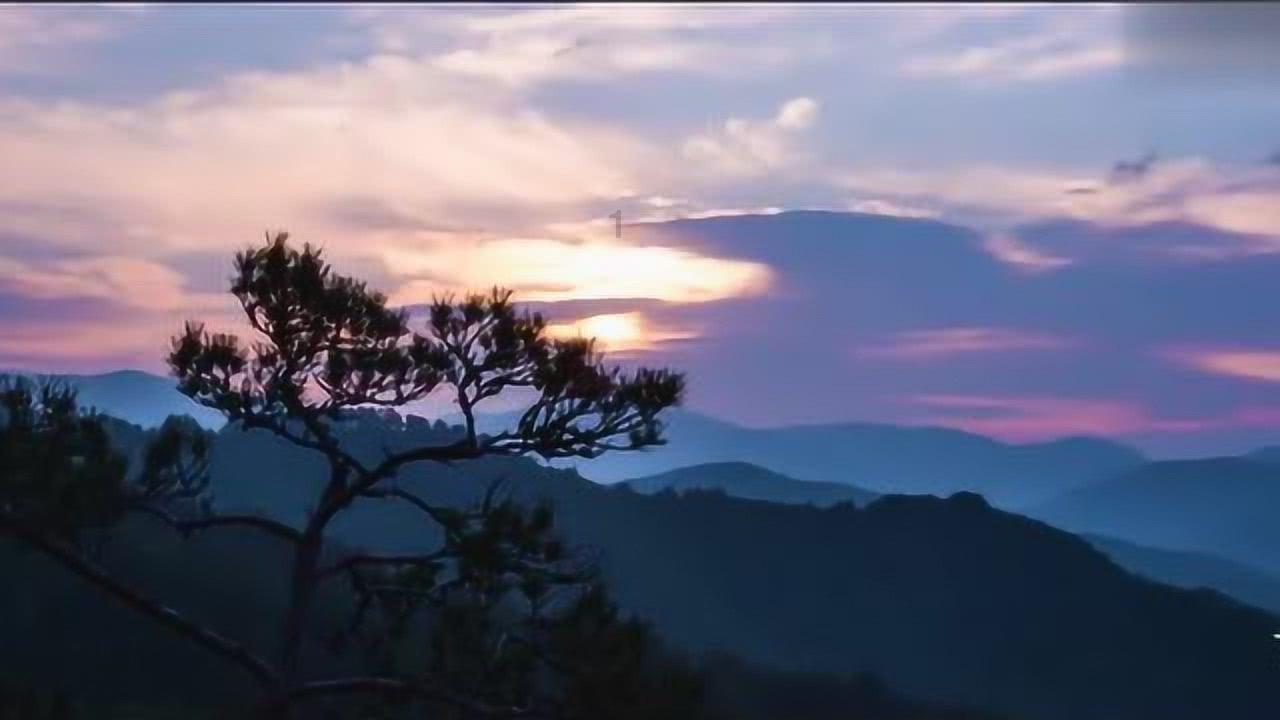 怎么选择一个好吃的柚子?-专业的天涯问答交流平台