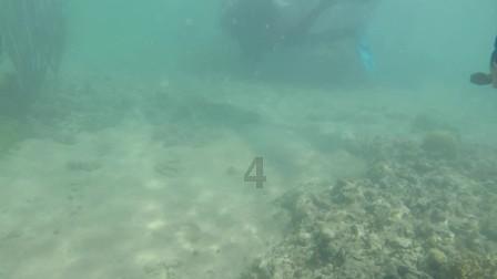 深入解读用4569000组数最大的七位数?的知识星球,探索未知领域